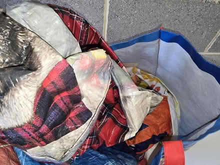 Photo of free Bags for life (Wrose BD2) #2