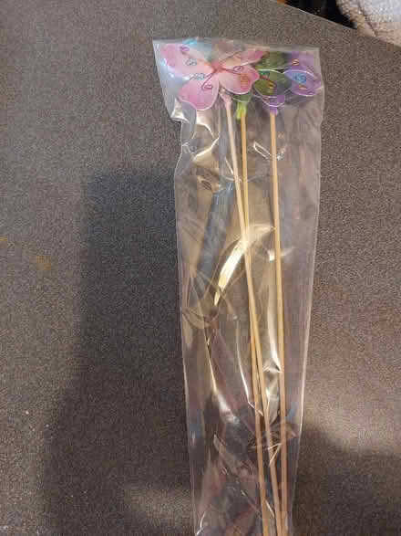 Photo of free Plant Pot Butterflies (Clermiston EH4) #1