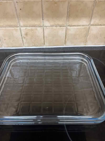 Photo of free Pyrex glass trays (Fairfield Park) #2