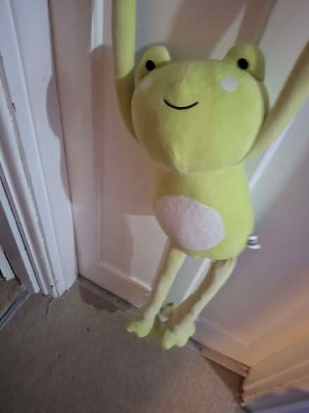 Photo of free Teddys (Penrith CA11) #1