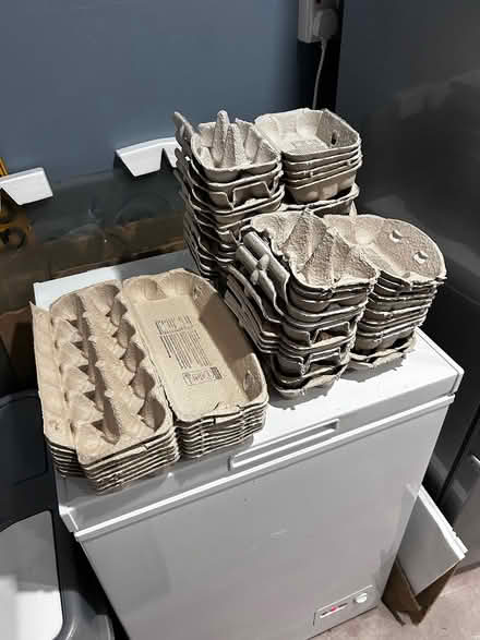 Photo of free Empty Tesco egg boxes (Chester-le-Street Garden Farm) #1