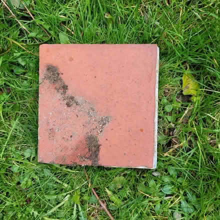 Photo of free 50+ Quarry Tiles - 6x6x1 inch (Kingston Near Lewes BN7) #1