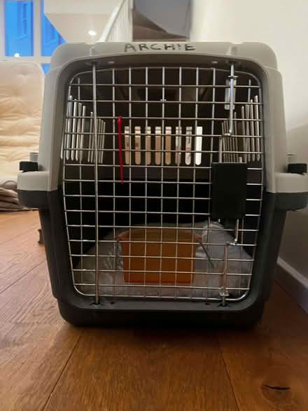 Photo of free cat carrier (Holland Park W11) #3