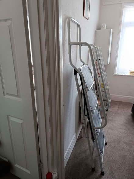 Photo of free Stepladders with side rails (St Michaels TQ3) #1