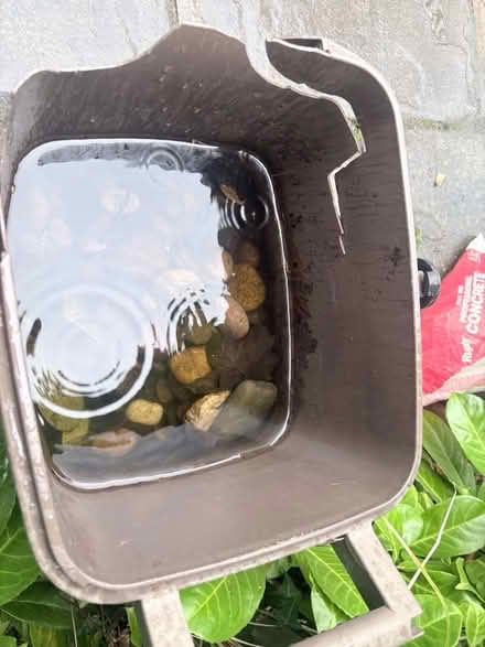 Photo of free Pebbles (clayhill CH64) #2