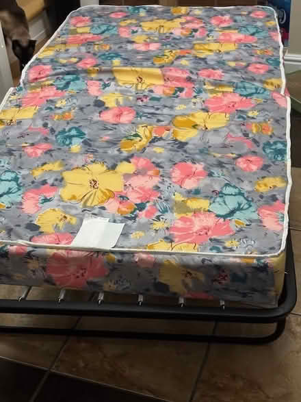 Photo of free Rollaway folding single bed (Orleans) #3