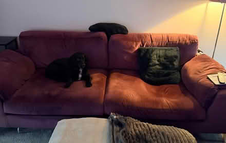 Photo of free Large aubergine 3 seater and grey cuddle chair (Kenninghall NR16) #1