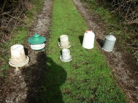 Photo of free Chicken feeders / drinkers (BS40) #1