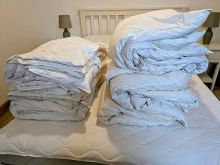 Photo of free Six single duvets, winter + summer (HR6 0EZ) #1