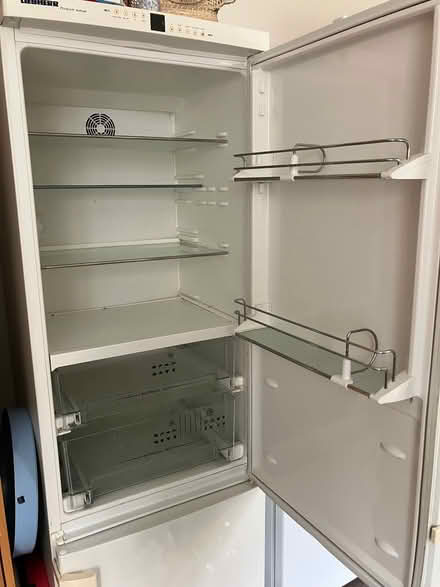 Photo of free Fridge (Harrogate HG2) #2