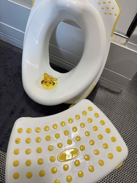 Photo of free Stepping stool and toilet seat for toddler (Gracemount EH16) #1