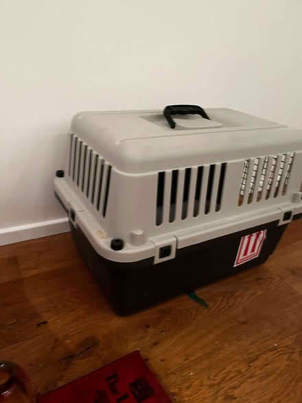 Photo of free cat carrier (Holland Park W11) #2