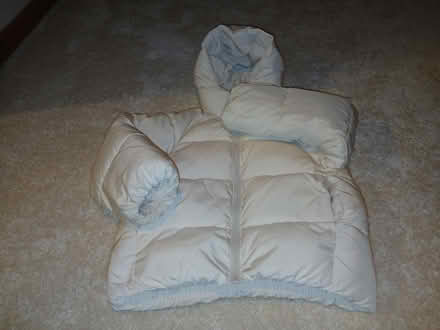 Photo of free Age 8 to 9 (Parkhead EH11) #1