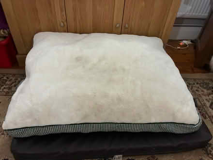 Photo of free Large dog bed (Canonbury N1) #1