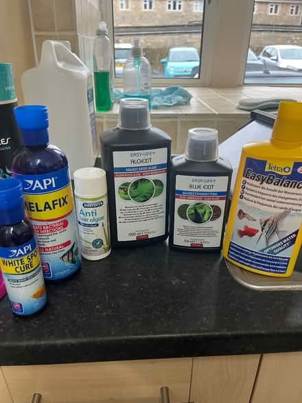 Photo of free Fish tank (Fairfield Park) #3