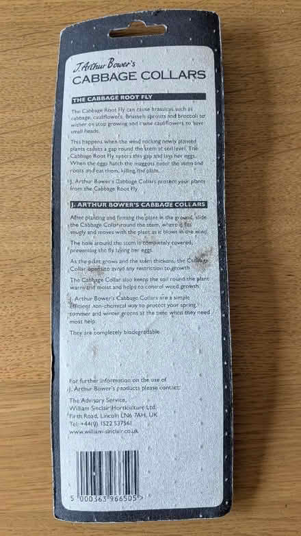 Photo of free Cabbage collars (Caldy Valley CH3) #2