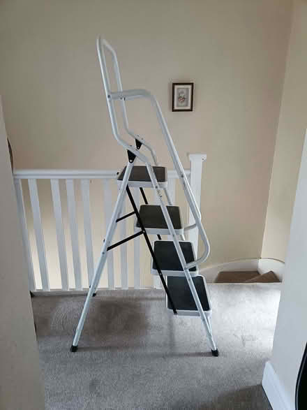 Photo of free Stepladders with side rails (St Michaels TQ3) #2