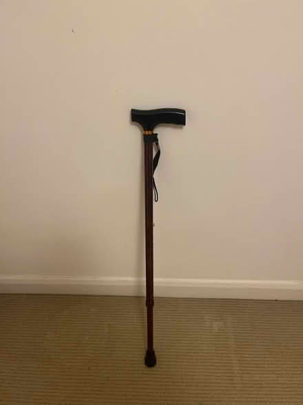 Photo of free Walking cane (Fairfield Park) #1