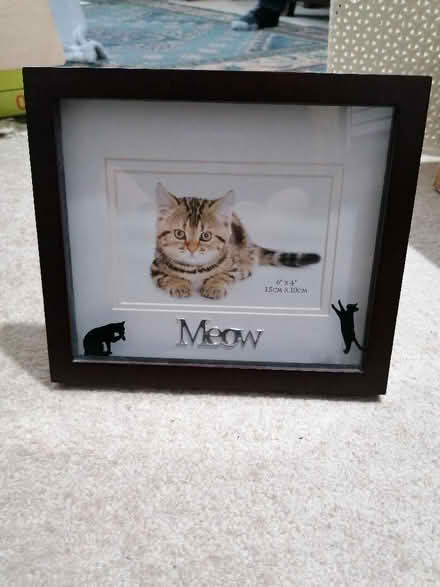 Photo of free Cat picture frame (Langney BN23) #1