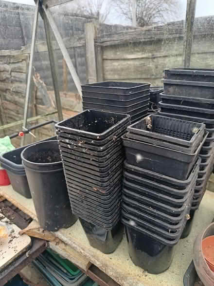 Photo of free Square pots (St Nicholas SG1) #2