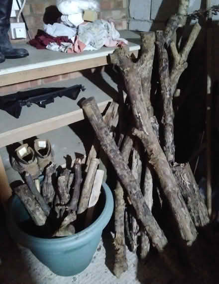 Photo of free Firewood (Emsworth PO10) #2