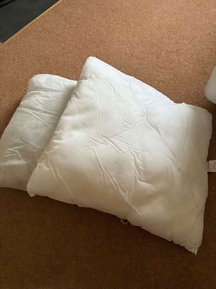 Photo of free 2 polyester-filled cushion pads 16x16inches (Odd Down) #1