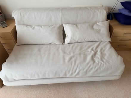 Photo of free Sofa bed (Double) (Ligne Roset) (KT6 4EW, Surbiton) #1