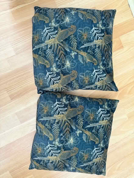 Photo of free 2 Velvet Cushions (Blaby LE8) #1
