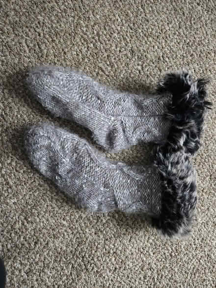 Photo of free Reading Socks (Elkton) #1
