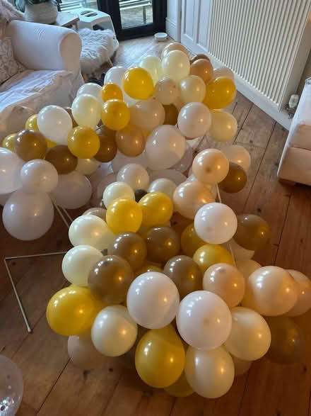 Photo of free Balloons (LE10) #1