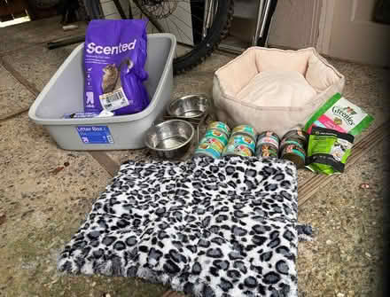Photo of free Misc Kitty Items (South Novato) #1
