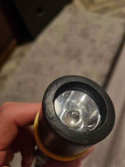 Photo of free Torch (SE20) #3