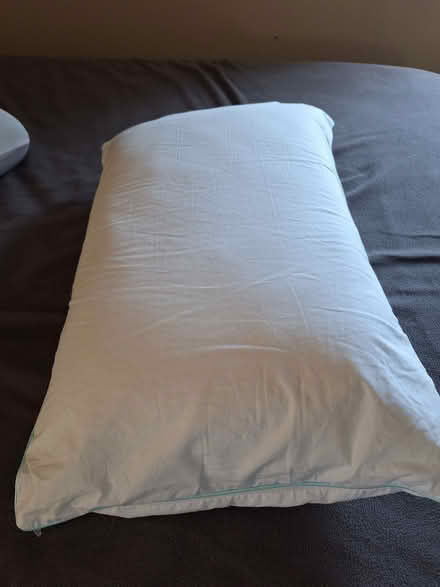 Photo of free Pillows (Bedford 76022) #2