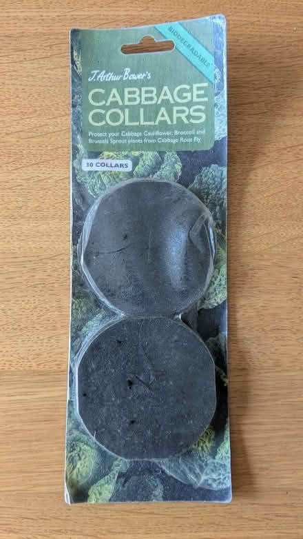 Photo of free Cabbage collars (Caldy Valley CH3) #1
