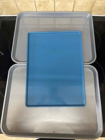 Photo of free 3 trays (Fairfield Park) #1