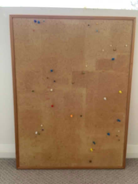 Photo of free Cork board with pins (Upper Weston) #1