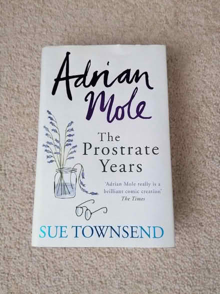 Photo of free Adrian Mole book (Langney BN23) #1