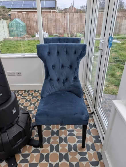 Photo of free Blue Velvet Chairs (Fylde PR4) #1
