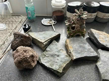 Photo of free Fish tank accessories (Harrow HA3) #2