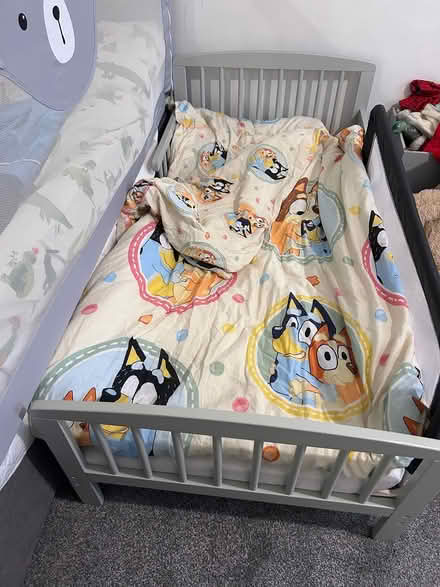 Photo of free 1x single bed 1x toddler bed (Derby DE24) #1