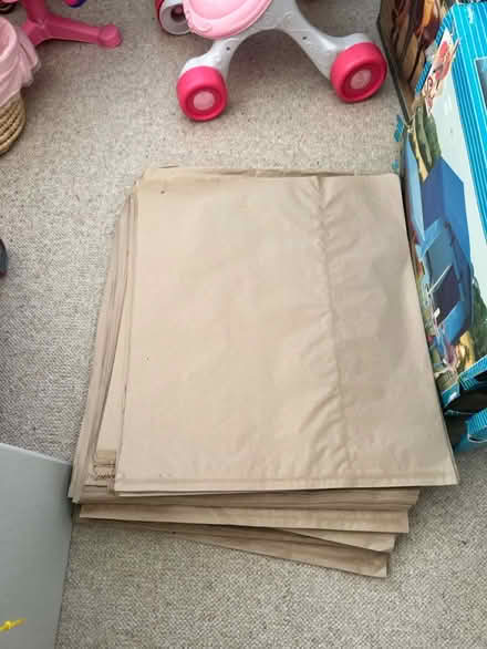 Photo of free Large Paper Bags (CM8 Witham) #1