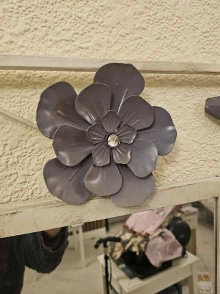 Photo of free Mirror (Ashton in Makerfield WN4) #4