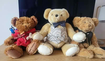 Photo of free 3 Bears (Donnybrook Douglas) #1