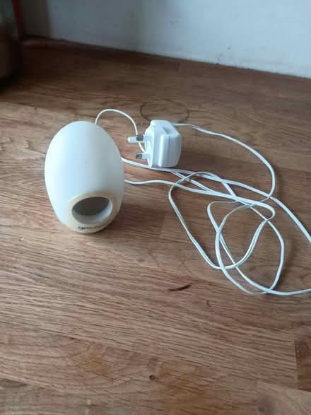 Photo of free Gro egg (BS16 Staple Hill) #1