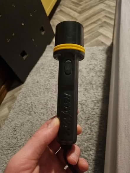 Photo of free Torch (SE20) #1