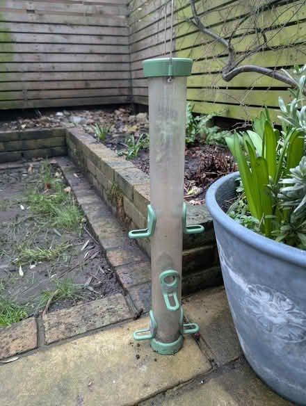 Photo of free bird feeder to hang on a tree (Portslade by Sea BN3) #1