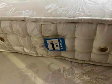 Photo of free King size divan with gold headboard (Manor Park E12) #3