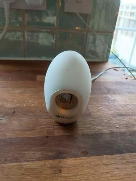 Photo of free Gro egg (BS16 Staple Hill) #2