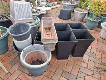 Photo of free Planters (Oswestry SY11) #1