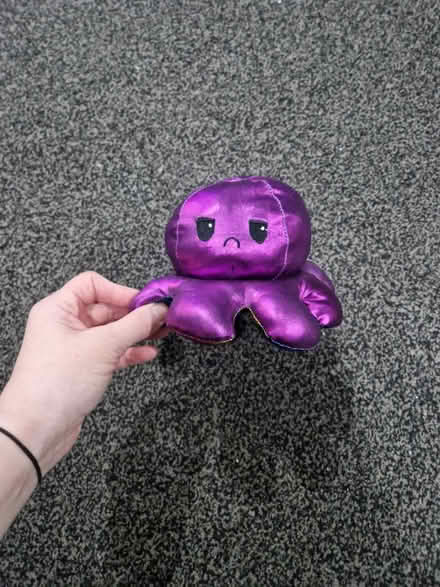 Photo of free Emotion octopus (New malden KT3) #1